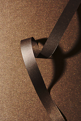 포토 JPG 스튜디오촬영 리본 종이 백그라운드 프레임 실내 사람없음 갈색 공백 오브젝트 질감 플랫레이 카피스페이스 2025년 트렌드컬러 국내포토 모카무스 컬러 내부 플랫 연도 파일형식