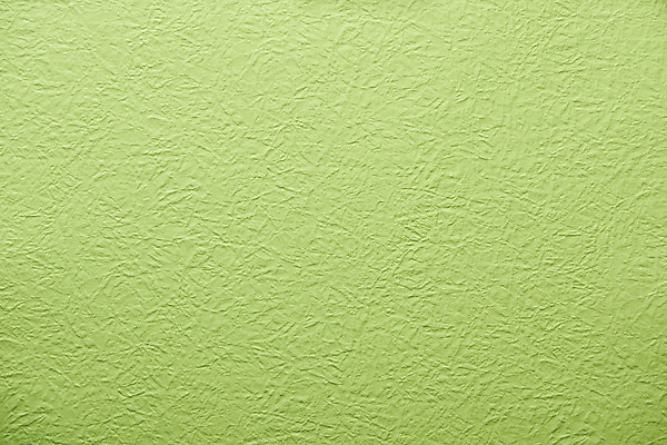 포토 JPG 스튜디오촬영 종이 백그라운드 프레임 실내 사람없음 연두색 공백 오브젝트 질감 플랫레이 카피스페이스 국내포토 내부 초록색 플랫 파일형식