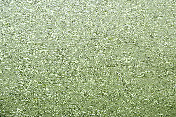 포토 JPG 스튜디오촬영 종이 백그라운드 프레임 실내 사람없음 연두색 공백 오브젝트 질감 플랫레이 카피스페이스 국내포토 내부 초록색 플랫 파일형식