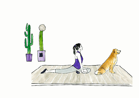 전신 PSD 한마리 여자 화분 반려견 거실 일러스트 요가 휴식 수채화 선인장 주택 건강 한명 사람 성인 반려동물 건강관리 카펫 요가자세 매트 골든리트리버 강아지 요가복 번짐 반려 싱글라이프 성인여자한명만 국내일러스트 식물 동물 1 라이프스타일 웰빙 포즈 컨셉 관리 건물 운동복 개 리트리버 여자한명만 성인여자만 파일형식 효과