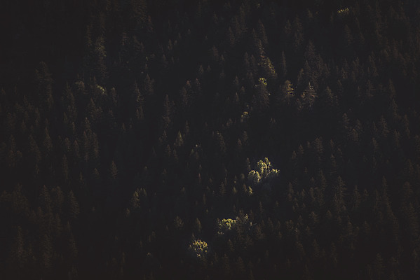 포토 JPG 나무 해외풍경 유럽풍경 자연 산 풍경 사람없음 야외 여름 어둠 여름풍경 프랑스 소나무 야간 숲 알프스 국내포토 자연요소 식물 해외 계절 유럽 생태계 파일형식 여름_계절