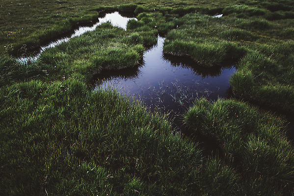 포토 JPG 주간 해외풍경 유럽풍경 자연 풍경 사람없음 야외 습지 알프스 지형 국내포토 자연요소 해외 유럽 생태계 파일형식
