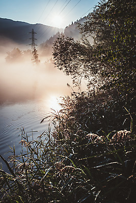 포토 JPG 주간 식물 해외풍경 호수 유럽풍경 자연 아침 산 풍경 사람없음 야외 안개 알프스 국내포토 자연요소 해외 유럽 날씨 생태계 파일형식