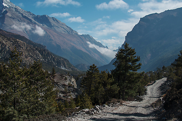 포토 JPG 해외이미지 나무 구름 라이프스타일 공원 행복 아시아 도로 여행 백그라운드 자국 자연 하늘 산 풍경 사람없음 야외 파란색 햇빛 태양 환경 골짜기 계곡 얼음 트래킹 하이킹 추위 자유 흰색 네팔 무료 절정 하이커 히말라야 해외포토 자연요소 식물 공공시설 감정 나라 길 컬러 컨셉 교통시설 레저 생활 생태계 파일형식 산맥 이미지허브