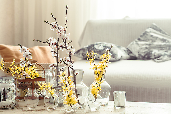 포토 JPG 해외이미지 유리병 실내 사람없음 벚꽃 개나리 오브젝트 해외포토 꽃 병_용기 내부 파일형식 이미지허브