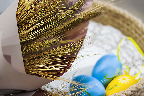 포토 JPG 해외이미지 전통 라이프스타일 계절 꽃 행복 종교 음식 꽃다발 백그라운드 꽃무늬 텍스트 자연 휴가 부활절 사람없음 목재 장식 빛 컬러풀 우주 계란 꽃병 축제 봄 시골 축하 4월 심볼 엽서 초대 내추럴 엘리먼트 해외포토 나무 식물 기념일 감정 컬러 컨셉 무늬 재료 생활 알 날짜 편지 생태계 파일형식 이미지허브