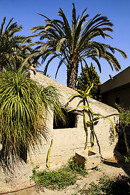 포토 JPG 해외이미지 하늘 사람없음 건물 야자수 해외포토 나무 건축물 파일형식 이미지허브