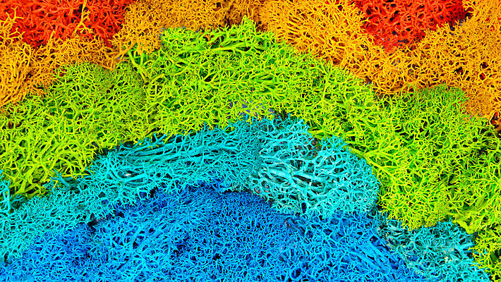 포토 JPG 해외이미지 식물 벽 백그라운드 잎 패턴 자연 벽지 표면 추상 이끼 사람없음 장식 빨간색 초록색 파란색 빛 인테리어 컬러풀 노란색 환경 상점 정원 검은색 성장 신선 숲 묘사 생태계 질감 청록색 리빙 내추럴 생태학 해외포토 디자인 교육 컬러 무늬 파일형식 이미지허브