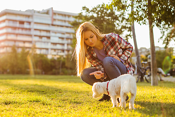 포토 JPG 해외이미지 주간 전신 우먼라이프 공원 여자 반려견 놀이 함께함 한명 성인 야외 반려동물 믿음 우정 슬픔 분노 가리킴 가르침 강아지 즐거움 푸들 문제 불만 성인여자한명만 펫팸족 해외포토 자연요소 동물 1 라이프스타일 공공시설 교육 감정 컨셉 사람 손짓 친구 개 신조어 여자한명만 성인여자만 파일형식 이미지허브