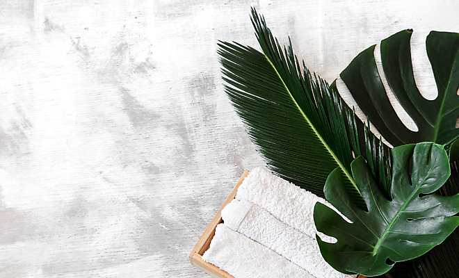 포토 JPG 해외이미지 사람없음 하이앵글 수건 오브젝트 스파용품 야자수잎 바디케어 열대잎 해외포토 뷰포인트 잎 위생용품 스파 파일형식 이미지허브