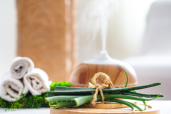 포토 JPG 해외이미지 사람없음 아웃포커스 수건 오브젝트 스파용품 가습기 바디케어 알로에 해외포토 식물 촬영기법 위생용품 스파 파일형식 이미지허브