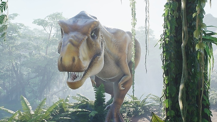 JPG 해외이미지 주간 나무 한마리 야생동물 사람없음 야외 3D 걷기 숲 고생물 육식공룡 티라노사우루스 쥬라기 해외포토 포토 자연요소 식물 동물 1 모션 생물 디지털합성 공룡 파일형식 이미지허브