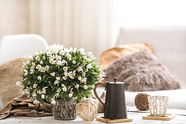 포토 JPG 해외이미지 화분 꽃다발 쿠션 겨울 주전자 잔 실내 사람없음 아웃포커스 오브젝트 감성 해외포토 식기 계절 꽃 컨셉 주방용품 촬영기법 내부 파일형식 이미지허브