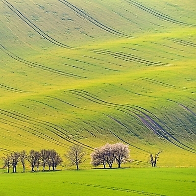포토 JPG 해외이미지 식물 계절 유럽 선 파도 여행 백그라운드 밭 농업 자연 사람없음 야외 초록색 빛 농장 농경지 환경 계곡 일몰 놀람 봄 시골 숲 땅 언덕 포도밭 체코 내추럴 밭일 토스카나 모라비아 해외포토 감정 나라 산업 바다 컬러 표정 노을 이탈리아 생태계 파일형식 이미지허브
