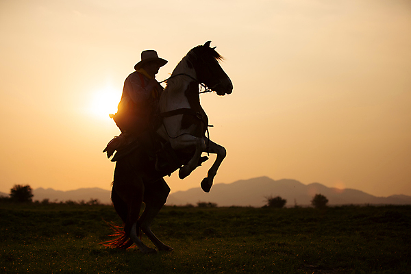 포토 JPG 해외이미지 동물 라이프스타일 공원 실루엣 여행 포즈 밭 오렌지 자연 하늘 한명 사람 풍경 야외 여름 햇빛 태양 뷰티 농장 일출 일몰 목장 자유 광선 시골 승마 카우보이 승차 저녁 헬멧 라이더 서쪽 해외포토 자연요소 1 계절 공공시설 스포츠 컨셉 농업 과일 모션 촬영기법 생활 노을 야간 보호장비 방향 생태계 파일형식 이미지허브