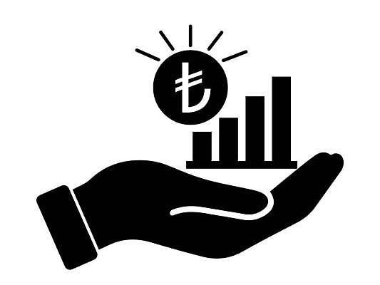 EPS 해외이미지 손 디자인 돈 일러스트 비즈니스 손바닥 들기 그래픽 금융 픽토그램 동전 검은색 성장 흰색 바 재산 플랫 확대 심볼 사인 눈금 상업 상승 노력 수익 세대 고립 수입 자금 튀르키예 해외일러스트 아시아 컬러 컨셉 모션 신체부위 경제 파일형식 벡터 이미지허브