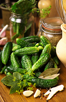 포토 JPG 해외이미지 채소 오이 마늘 사람없음 아웃포커스 초록색 향신료 피클 딜 오이피클 해외포토 컬러 촬영기법 절임 향미료 파일형식 이미지허브