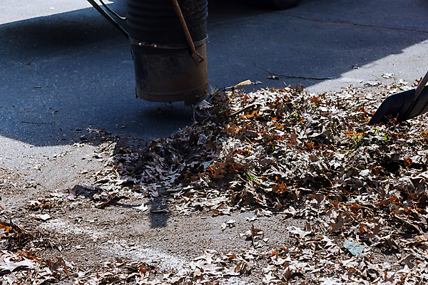 포토 JPG 해외이미지 나무 직업 계절 공원 단풍 잎 거리 잔디 사람없음 야외 환경 정원 기계 장비 업무 불기 청소 원예 조경 유지 원예사 진공 해외포토 식물 공공시설 모션 취미 작업 파일형식 이미지허브