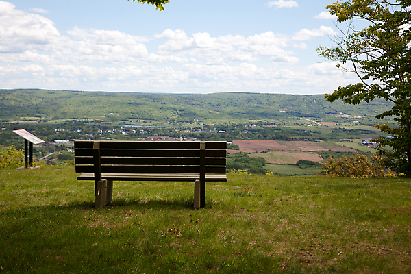 포토 JPG 해외이미지 나무 식물 공원 도로 길 여행 백그라운드 밭 농업 벤치 의자 자연 하늘 휴가 산 거리 사람없음 야외 목재 초록색 농작물 강 농가 계곡 성장 흰색 캠핑장 포도나무 커뮤니티 북쪽 타운 수평선 해외포토 공공시설 산업 컬러 가구 재료 교통시설 농장 캠핑 도시 과일나무 방향 생태계 파일형식 이미지허브