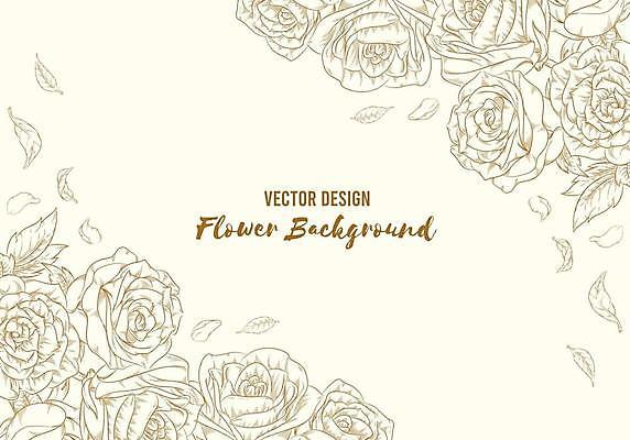 EPS 해외이미지 식물 템플릿 꽃 선 결혼 백그라운드 잎 꽃무늬 일러스트 프레임 그래픽 장식 장미 수확 벚꽃 신용카드 스케치 그림 레이아웃 복고 윤곽 초대 손그림 판화 고립 엘리먼트 해외일러스트 무늬 농업 미술 이벤트 금융 파일형식 벡터 이미지허브