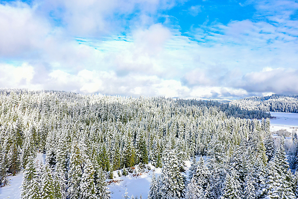 포토 JPG 해외이미지 나무 계절 공원 백그라운드 겨울 자연 하늘 날씨 휴가 산 안테나 파노라마 사람없음 야외 햇빛 뷰티 냉동 얼음 추위 흰색 시골 소나무 숲 12월 서리 스카이라인 내추럴 조감도 눈내림 해외포토 자연요소 식물 공공시설 컬러 통신 눈_날씨 촬영기법 태양 날짜 생태계 파일형식 이미지허브
