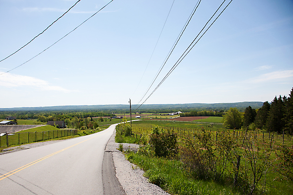 포토 JPG 해외이미지 나무 식물 공원 도로 길 여행 백그라운드 밭 농업 자연 하늘 휴가 산 거리 사람없음 야외 초록색 농작물 계곡 성장 흰색 포도나무 북쪽 수평선 해외포토 공공시설 산업 컬러 교통시설 과일나무 방향 생태계 파일형식 이미지허브