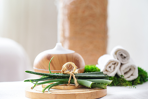 포토 JPG 해외이미지 사람없음 수건 오브젝트 스파용품 가습기 바디케어 알로에 해외포토 식물 위생용품 스파 파일형식 이미지허브