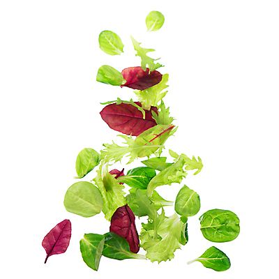 포토 JPG 해외이미지 잎 사람없음 샐러드 신선 상추 해외포토 식물 음식 채소 파일형식 이미지허브