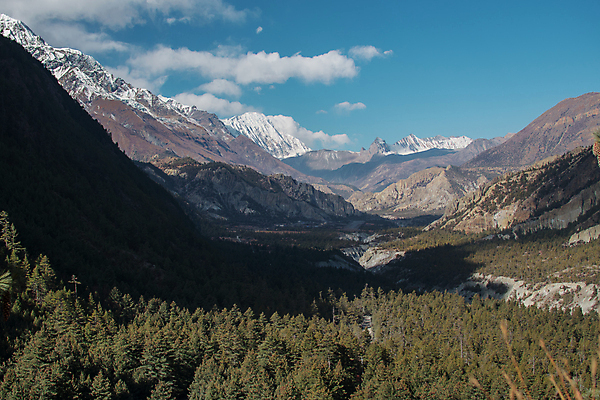 포토 JPG 해외이미지 나무 구름 라이프스타일 공원 행복 아시아 여행 백그라운드 자연 하늘 산 풍경 사람없음 야외 파란색 햇빛 태양 환경 골짜기 계곡 얼음 트래킹 하이킹 추위 자유 흰색 네팔 무료 절정 하이커 히말라야 해외포토 자연요소 식물 공공시설 감정 나라 컬러 컨셉 레저 생활 생태계 파일형식 산맥 이미지허브
