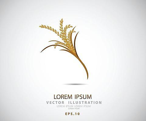 EPS 해외이미지 식물 템플릿 디자인 배너 아시아 음식 빵 밭 농업 채소 일러스트 자연 밥 건조 건강 씨앗 장식 농작물 농장 라벨 수확 성장 흰색 신선 시장 황금 농부 상품 낟알 밀 먹기 심볼 사인 유기농 보리 내추럴 고립 엘리먼트 귀리 해외일러스트 직업 웰빙 나라 산업 컬러 모션 곡류 프레임 생태계 파일형식 벡터 이미지허브
