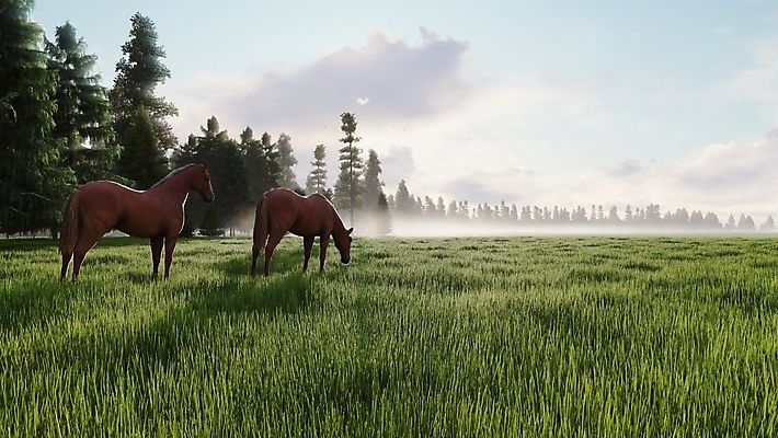 포토 JPG 해외이미지 동물 야생동물 스포츠 밭 포유류 모션 자연 산 사람없음 야외 초록색 달리기 뷰티 농장 갈색 3D 일출 힘 목장 자유 흰색 시골 그룹 승마 카우보이 군중 승차 속도 갈기 무료 해외포토 컬러 컨셉 농업 사람 노을 디지털합성 생태계 파일형식 이미지허브