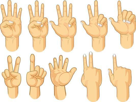 EPS 해외이미지 손 일러스트 손가락 손짓 신체부위 숫자 해외일러스트 문자 모션 사람 파일형식 벡터 이미지허브