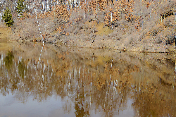 포토 JPG 해외이미지 나무 호수 자연 파노라마 사람없음 물 반사 봄 개울 해외포토 자연요소 식물 계절 촬영기법 강 생태계 파일형식 이미지허브