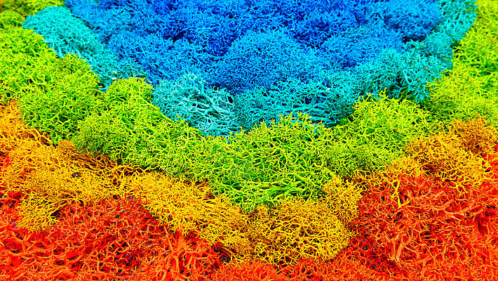 포토 JPG 해외이미지 식물 벽 백그라운드 잎 패턴 자연 벽지 표면 추상 이끼 사람없음 장식 빨간색 초록색 파란색 빛 인테리어 컬러풀 노란색 환경 상점 정원 검은색 성장 신선 숲 묘사 생태계 질감 청록색 리빙 내추럴 생태학 해외포토 디자인 교육 컬러 무늬 파일형식 이미지허브