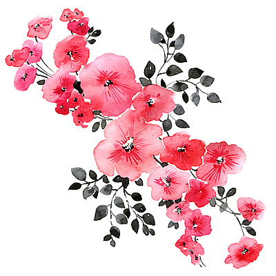 포토 JPG 해외이미지 식물 디자인 꽃 분홍색 꽃다발 잎 꽃무늬 일러스트 자연 미술 사람없음 장식 빨간색 컬러풀 봄 벚꽃 인사 신용카드 만화 만족 그림 유기농 손그림 해외일러스트 웰빙 계절 감정 컬러 무늬 문화예술 금융 예절 생태계 파일형식 이미지허브