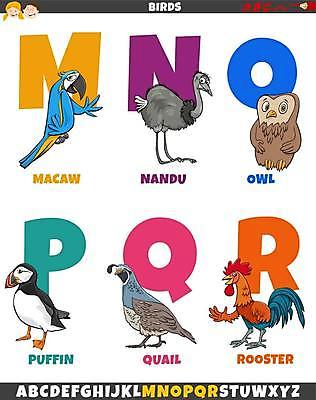 EPS 해외이미지 동물 캐릭터 디자인 알파벳 영어 교육 행복 어린이 백그라운드 일러스트 텍스트 학교 벽지 조류 그래픽 세트 컬러풀 유치원 가르침 어플리케이션 만화 편지 수집 심볼 사인 앵무새 부엉이 타입 수탉 메추리 초보 해외일러스트 일러캐릭터 문자 감정 컬러 사람 닭 수컷 파일형식 벡터 이미지허브