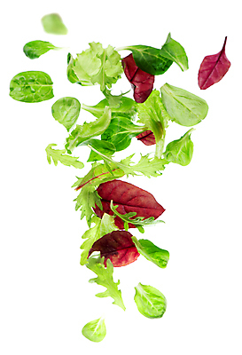 포토 JPG 해외이미지 사람없음 샐러드 신선 상추 해외포토 음식 채소 파일형식 이미지허브