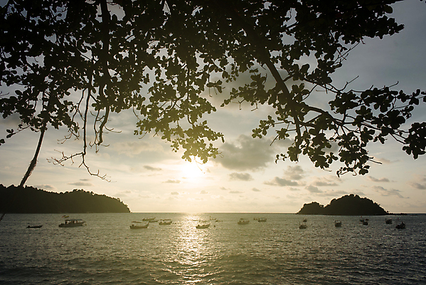 포토 JPG 해외이미지 나무 실루엣 모래 파도 바다 섬 여행 백그라운드 요트 자연 하늘 휴가 사람없음 물 햇빛 태양 노란색 여행객 평화 고요 황혼 일몰 새벽 보트 저녁 스카이라인 말레이시아 파라다이스 해외포토 자연요소 식물 아시아 컬러 컨셉 배_교통 촬영기법 사람 노을 야간 생태계 파일형식 이미지허브