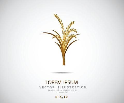 EPS 해외이미지 식물 템플릿 디자인 배너 아시아 음식 빵 밭 농업 채소 일러스트 자연 밥 건조 건강 씨앗 장식 농작물 농장 라벨 수확 성장 흰색 신선 시장 황금 농부 상품 낟알 밀 먹기 심볼 사인 유기농 보리 내추럴 고립 엘리먼트 귀리 해외일러스트 직업 웰빙 나라 산업 컬러 모션 곡류 프레임 생태계 파일형식 벡터 이미지허브