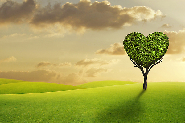 포토 JPG 해외이미지 모양 나무 식물 구름 계절 꽃 백그라운드 컨셉 잎 밭 오렌지 자연 하늘 추상 산 따뜻함 발렌타인데이 건강 파노라마 사랑 풍경 사람없음 야외 목재 초록색 여름 일출 환경 정원 황혼 일몰 하트 저녁 숲 땅 에코 공상 내추럴 생태학 해외포토 자연요소 교육 감정 컬러 무늬 농업 과일 재료 데이이벤트 촬영기법 노을 야간 생태계 파일형식 이미지허브