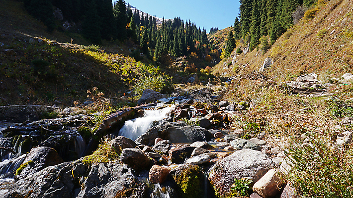 포토 JPG 해외이미지 나무 계절 공원 여행 백그라운드 이동 자연 하늘 아침 산 이끼 사람없음 야외 목재 초록색 물 강 태양 노란색 환경 일몰 폭포 흐름 물방울 신선 개울 황무지 숲 암초 내추럴 카자흐스탄 가문비나무 해외포토 주간 자연요소 식물 공공시설 아시아 컬러 컨셉 재료 노을 생태계 파일형식 이미지허브