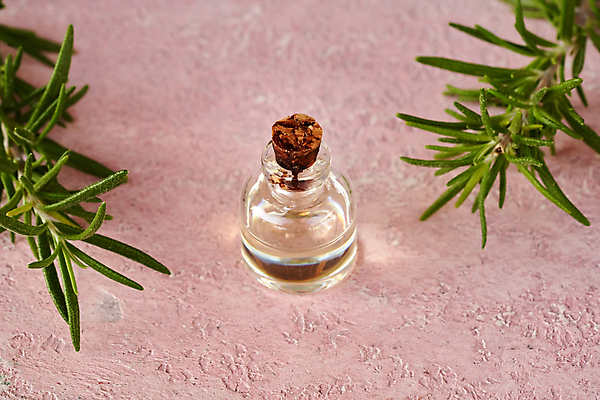 포토 JPG 해외이미지 유리병 실내 사람없음 뷰티 오일 아로마테라피 로즈메리 에센스 분홍색배경 아로마오일 해외포토 음식 분홍색 백그라운드 병_용기 내부 화장품 오일_화장품 허브 테라피 파일형식 이미지허브