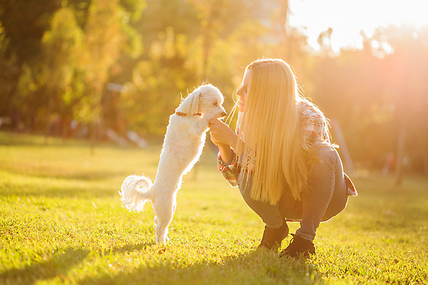 포토 JPG 해외이미지 주간 전신 백인 한마리 우먼라이프 공원 여자 행복 반려견 놀이 휴식 함께함 한명 미소 성인 야외 반려동물 우정 잡기 강아지 즐거움 푸들 성인여자한명만 펫팸족 해외포토 자연요소 서양인 동물 1 라이프스타일 공공시설 감정 컨셉 모션 표정 사람 친구 개 신조어 여자한명만 성인여자만 파일형식 이미지허브