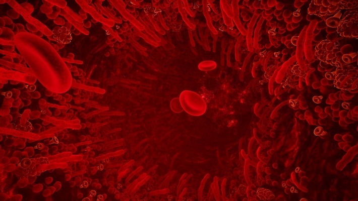 포토 JPG 해외이미지 세포 사람없음 빨간색 3D 적혈구 혈구 해외포토 컬러 디지털합성 혈관 파일형식 이미지허브
