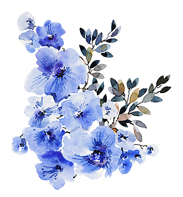 포토 JPG 해외이미지 식물 디자인 꽃 꽃다발 잎 꽃무늬 일러스트 자연 미술 사람없음 장식 파란색 컬러풀 봄 벚꽃 인사 신용카드 만화 만족 그림 손그림 해외일러스트 계절 감정 컬러 무늬 문화예술 금융 예절 생태계 파일형식 이미지허브