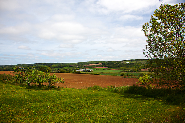 포토 JPG 해외이미지 구름 여행 캐나다 밭 농업 자연 하늘 산 주택 파노라마 풍경 사람없음 야외 초록색 여름 뷰티 농장 계곡 맑음 봄 시골 사과 숲 과수원 땅 언덕 포도나무 남쪽 옛날 해외포토 자연요소 계절 산업 컬러 북아메리카 과일 날씨 촬영기법 건물 과일나무 방향 생태계 파일형식 이미지허브