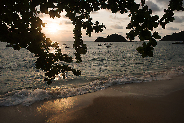 포토 JPG 해외이미지 나무 실루엣 모래 파도 바다 섬 여행 백그라운드 요트 자연 하늘 휴가 사람없음 물 햇빛 태양 노란색 여행객 평화 고요 황혼 일몰 새벽 보트 저녁 스카이라인 말레이시아 파라다이스 해외포토 자연요소 식물 아시아 컬러 컨셉 배_교통 촬영기법 사람 노을 야간 생태계 파일형식 이미지허브