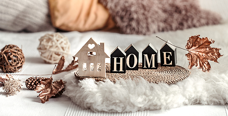 포토 JPG 해외이미지 영어 쿠션 낙엽 겨울 실내 사람없음 아웃포커스 장식 단어 소파 오브젝트 솔방울 감성 집모양 해외포토 모양 문자 계절 컨셉 잎 의자 촬영기법 내부 파일형식 이미지허브