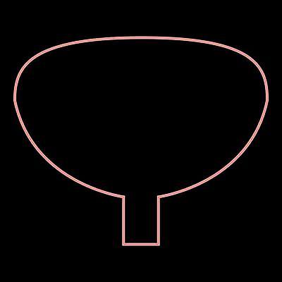 EPS 해외이미지 신체 일러스트 해부 건강 사람 내부 빨간색 약 오르간 신장 플랫 심볼 오브젝트 사인 뇌 생물학 윤곽 네온 방광 고립 돌봄 해외일러스트 교육 컬러 의학 모션 건반악기 비뇨기관 파일형식 벡터 이미지허브