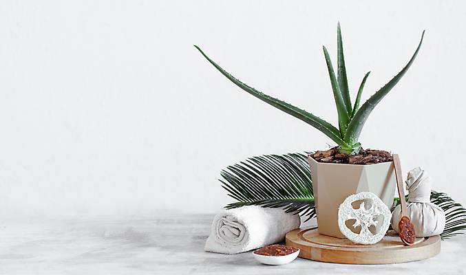 포토 JPG 해외이미지 화분 잎 사람없음 수건 오브젝트 스파용품 나무숟가락 바디케어 수제비누 알로에베라 해외포토 식물 위생용품 숟가락 스파 비누 알로에 파일형식 이미지허브